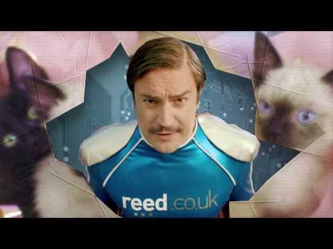 reed.co.uk Official Love Mondays Campaign 2013: Cute Kittens - Wang